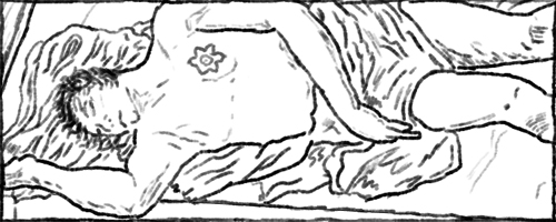 Narcisos